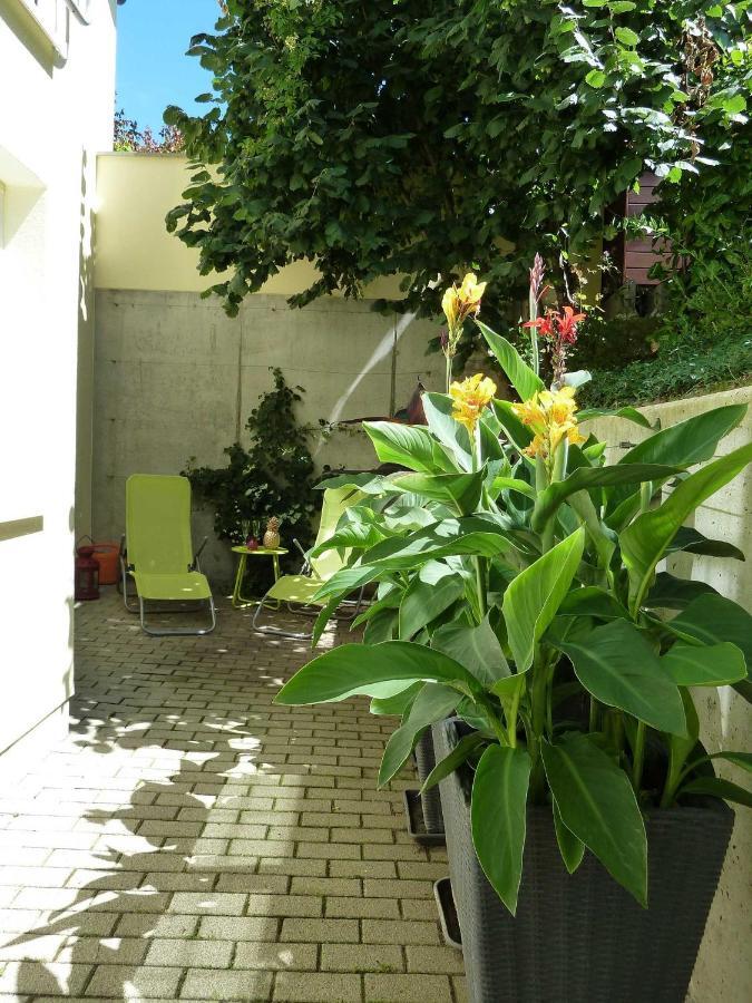 Ferienwohnung Baumann Ringsheim Oda fotoğraf